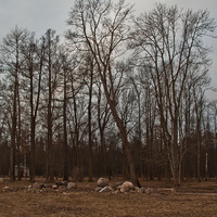 Александровский парк