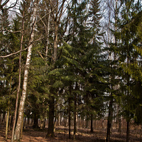 Александровский парк