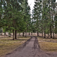 Александровский парк