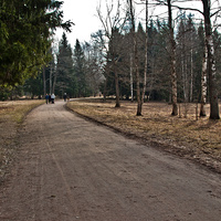 Александровский парк
