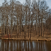 Александровский парк