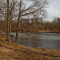 Нижний Ламский пруд