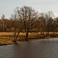 Александровский парк
