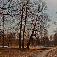 Александровский парк