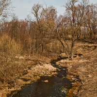 Река Кузьминка