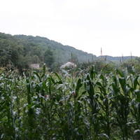 Михайловка, Западня