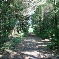 Михайловка