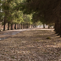 Александровский парк