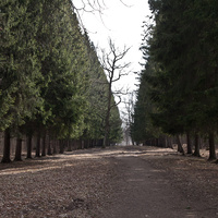 Аллея в парке