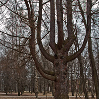 В Александровском парке