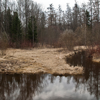 Река Кузьминка