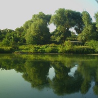 сільський ставок