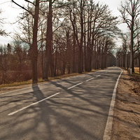 Дорога между Баболовским и Александровским парками