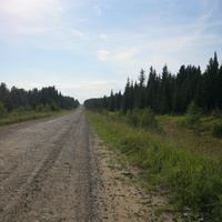 Дорога на Усть-Пинегу