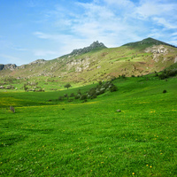 Hamoşam Bi qıyə
