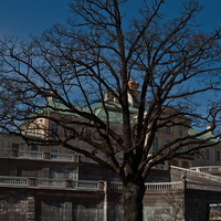 В Нижнем парке