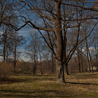 Верхний парк