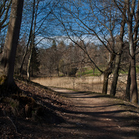 Берег Нижнего пруда