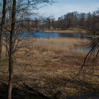 Нижний пруд