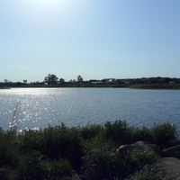 Липовский пруд