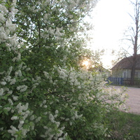 Весна в Еськовке