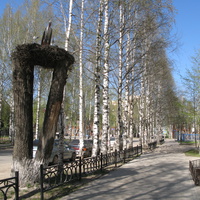 Сыктывкар 2014 - ул. Д.Каликовой