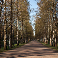 Александровский парк