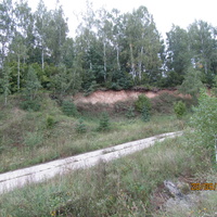 Белочь.Дорога в никуда.