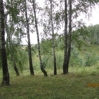 Белочь.Окрестности.