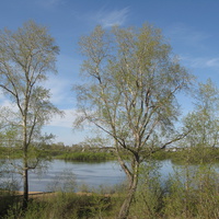 Сыктывкар 2014 - река Сысола