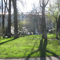 Сыктывкар 2014 - ул. Кирова