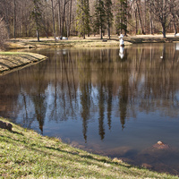 Китайский пруд