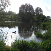 'Маленький ставочок' один із 5 ставків які знаходяться в селі