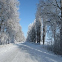 Шлях який веде в село .Обстановка зимою.