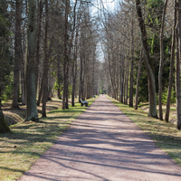 Верхний парк