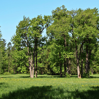 Александровский парк