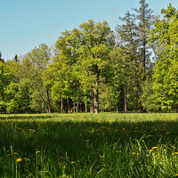 Александровский парк