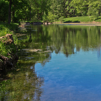 Детский пруд