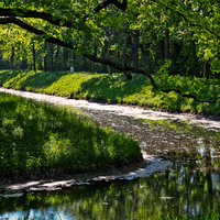 Канал в парке