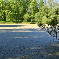 Кухонный пруд