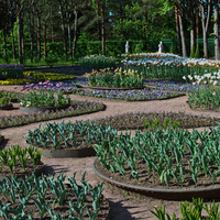 Собственный садик