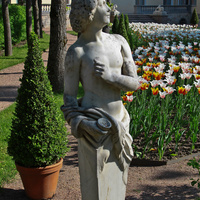 В Собственном садике