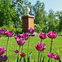 Павловский парк