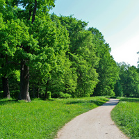 Павловский парк