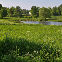 Павловский парк