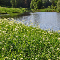 Павловский парк