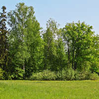 Павловский парк