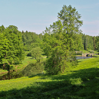 Павловский парк