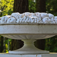 Чаша в Павловском парке