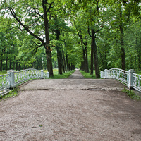 Мост в парке